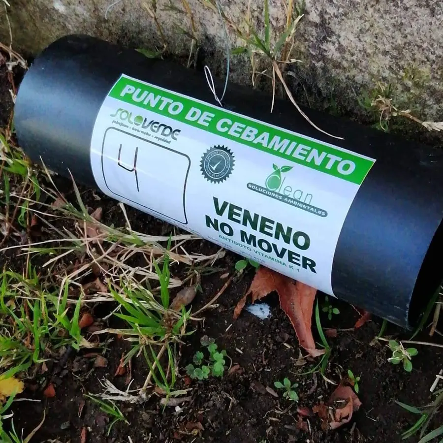 Foto de Control de plagas